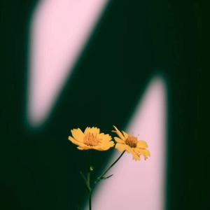 男人的🍌伸到🍑里漫画
